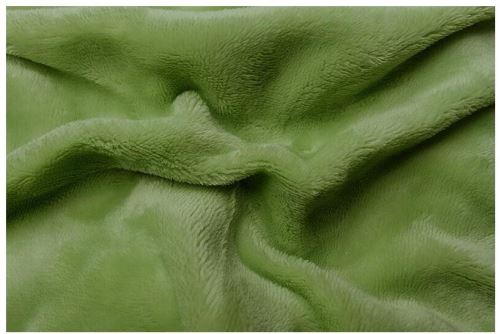 Prostěradlo Svitap Prostěradlo mikroflanel kiwi (zelená) 180x200x20 cm
