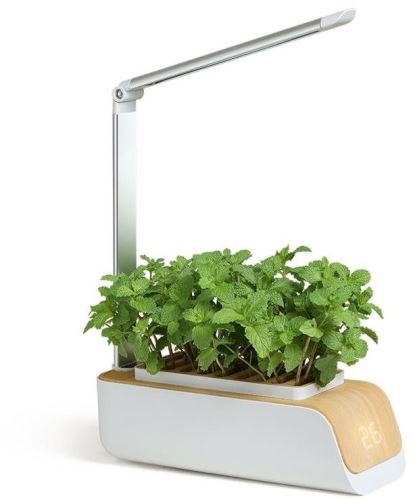 Chytrý květináč BOT Chytrý květináč s LED, bílý a světlé dřevo